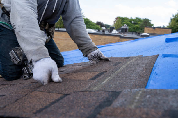 Professional Roofing Contractor in Cowan, TN